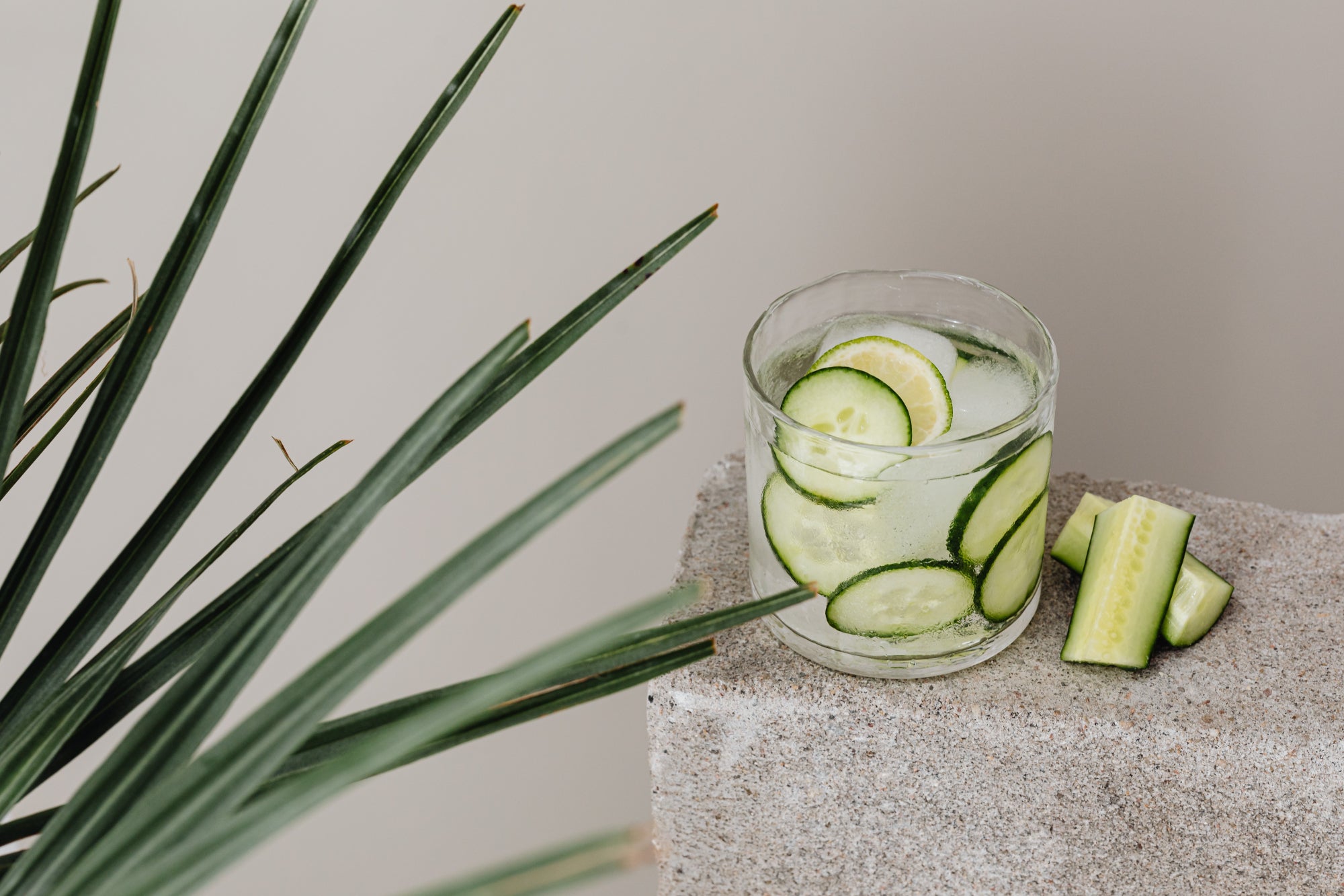 kaboompics_water-glass-cucumber-ice-cubes-26914.jpg