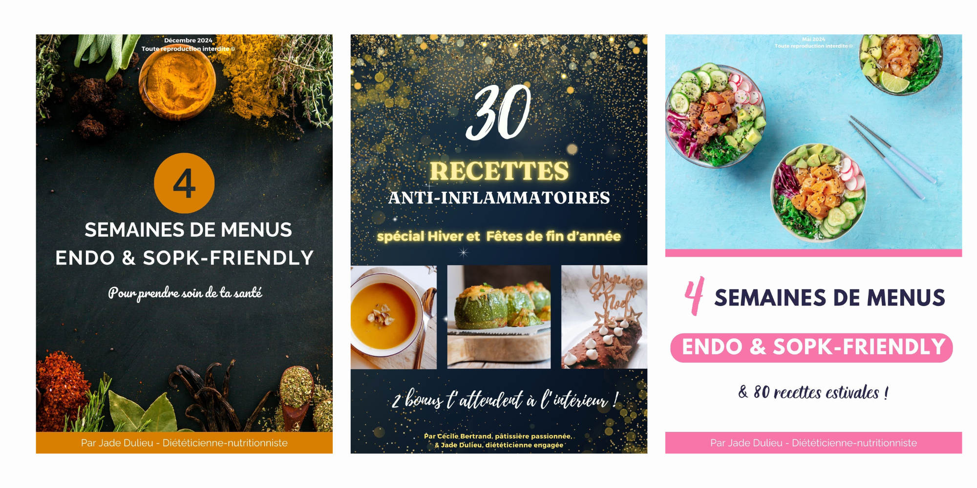 Ebooks de recettes & menus anti-inflammatoires – Endométriose, SOPK & digestion